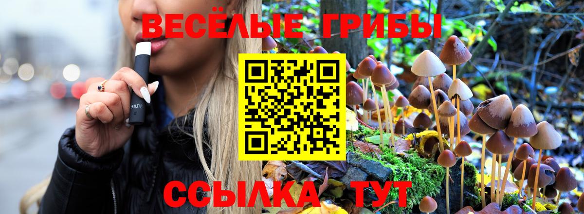 Зима  Псилоцибиновые грибы мицелий  Вход с VPN 