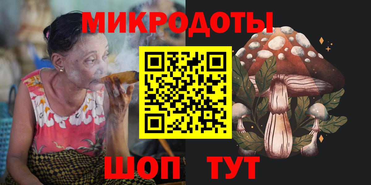 Псилоцибиновые грибы прущие грибы Зима